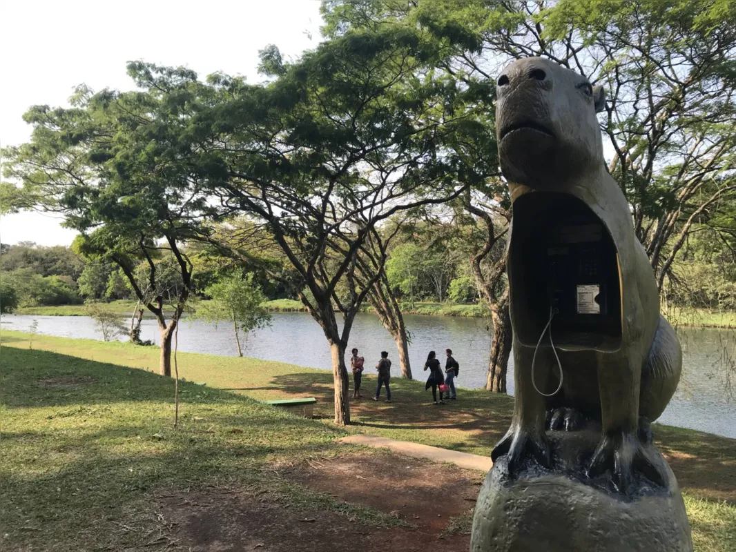 Imagem ilustrativa da imagem Animais surpreendem visitantes no Parque Arthur Thomas