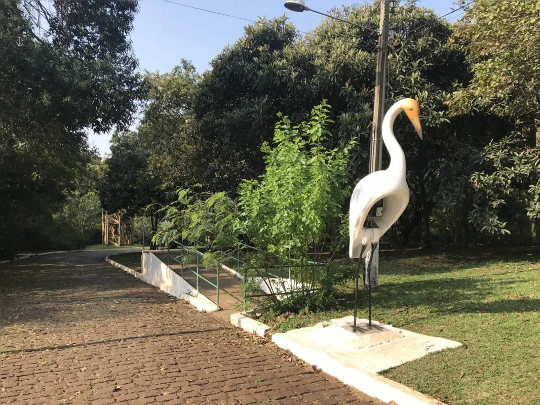 Imagem ilustrativa da imagem Animais surpreendem visitantes no Parque Arthur Thomas