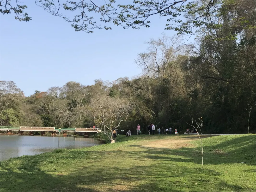 Imagem ilustrativa da imagem Animais surpreendem visitantes no Parque Arthur Thomas