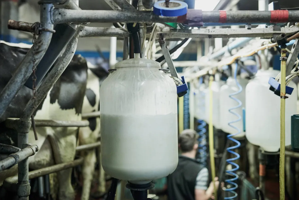 Para produtores rurais, no entanto, o preço pago pelo leite no campo não acompanhou a disparada verificada no varejo