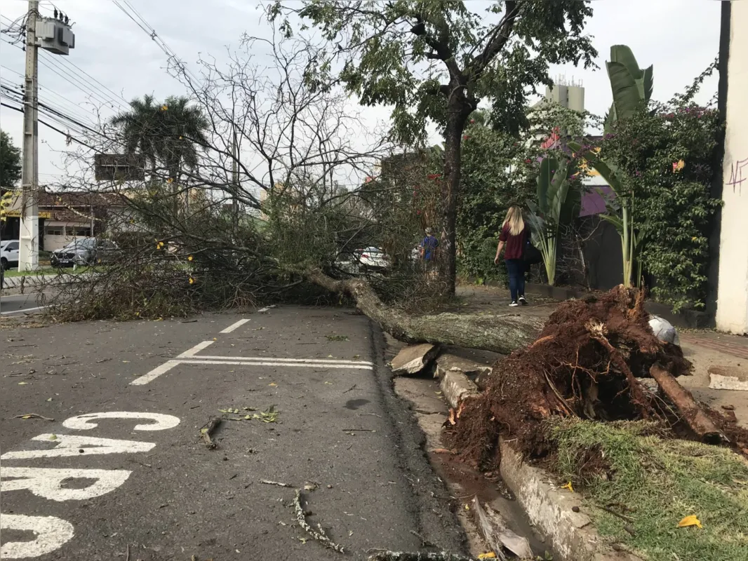 Imagem ilustrativa da imagem Após temporal, imóveis continuam sem luz em Londrina