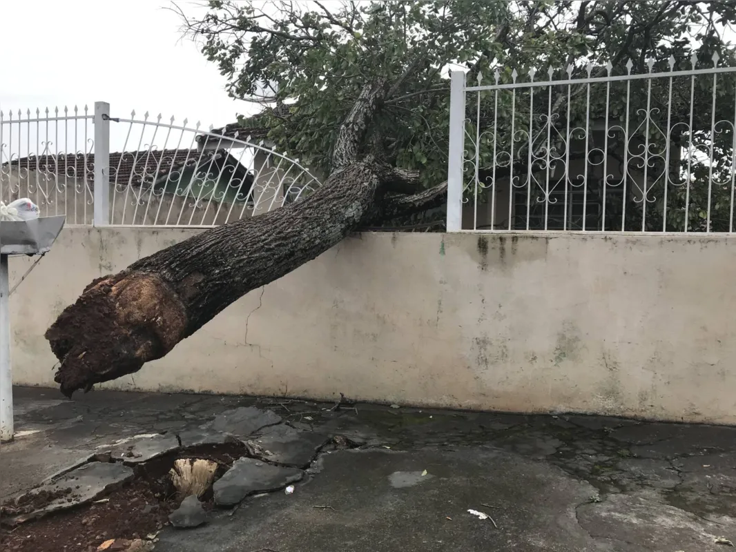 Imagem ilustrativa da imagem Após temporal, imóveis continuam sem luz em Londrina