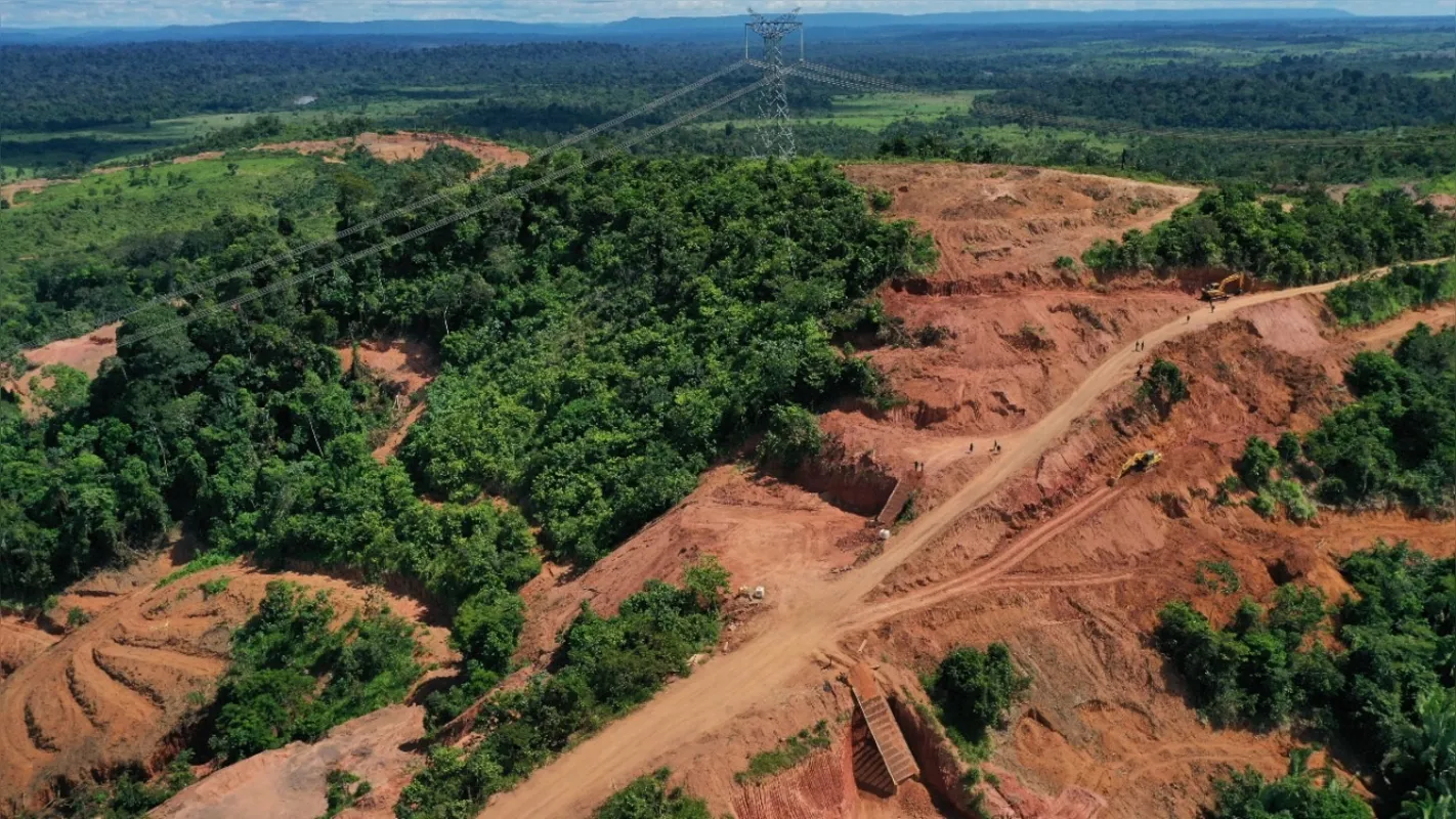 Para verificar quem são os desmatadores ilegais, o banco tem usado dados de monitoramento do desmatamento do MapBiomas desde fevereiro deste ano