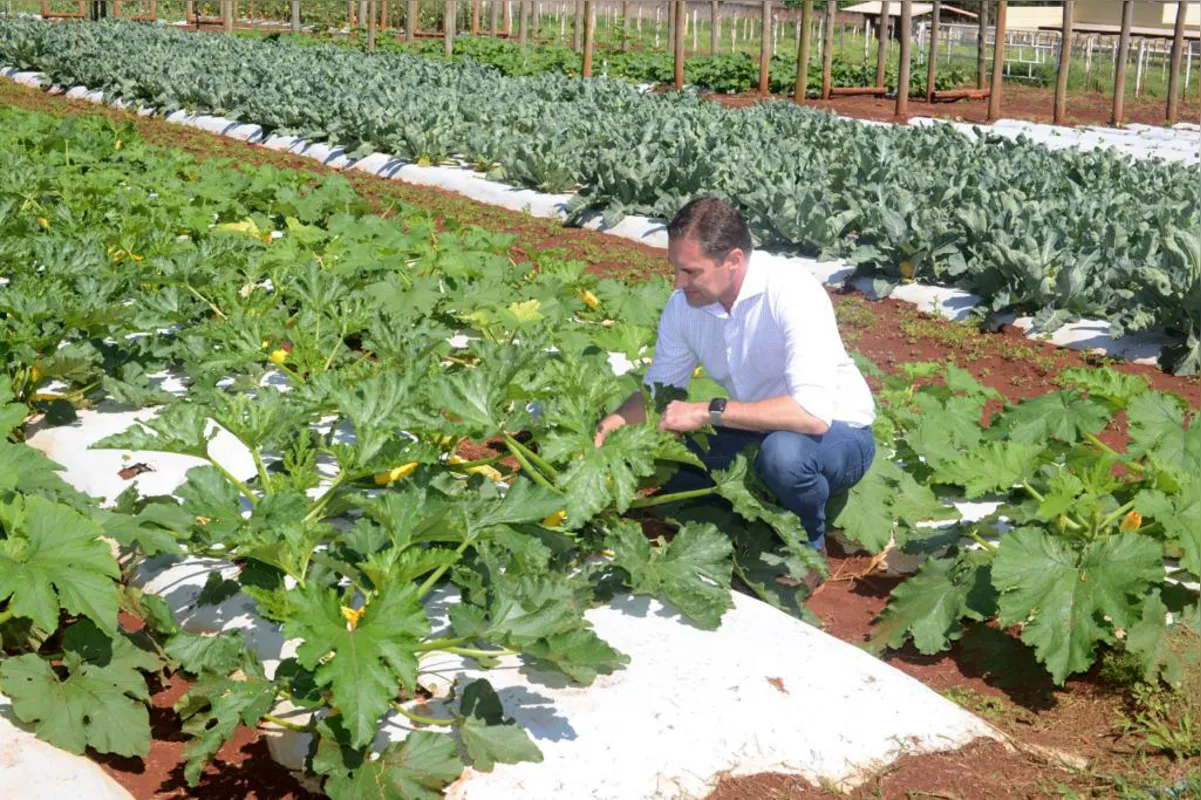 O secretário de Agricultura de Goiás, Tiago Freitas Mendonça, esteve nesta semana em Londrina, participando da 14ª Semana Acadêmica de Agronomia da Unifil