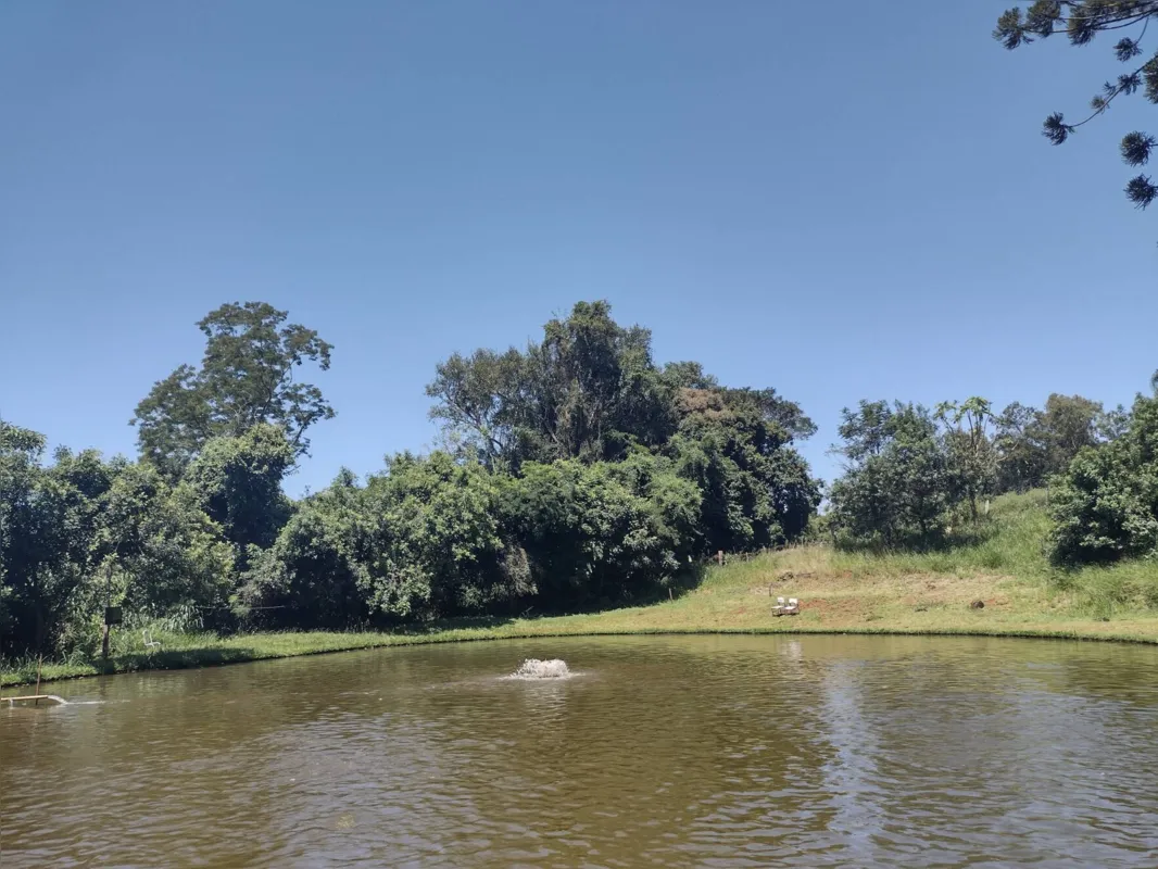 Imagem ilustrativa da imagem CIDADE FALA - Arredores de Cambé