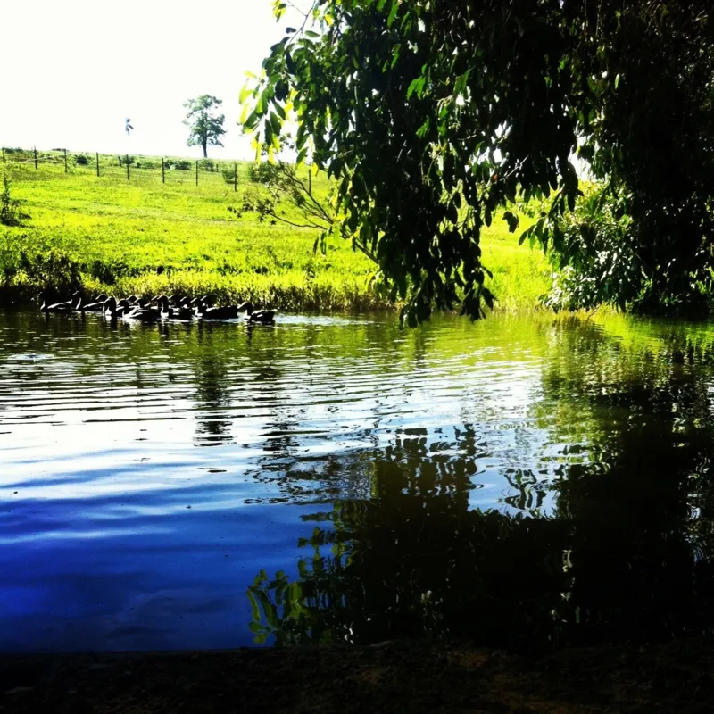 Imagem ilustrativa da imagem #CIDADE FALA - Paz