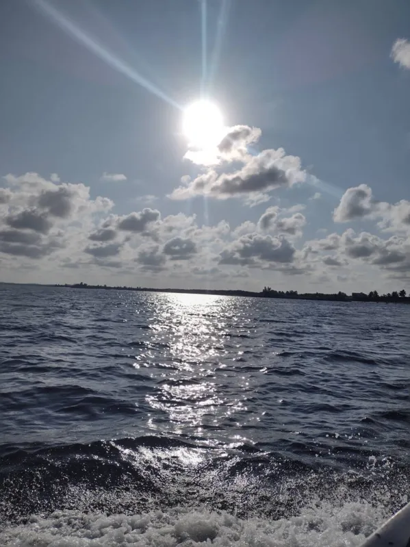 Imagem ilustrativa da imagem CIDADE FALA - Sol e mar
