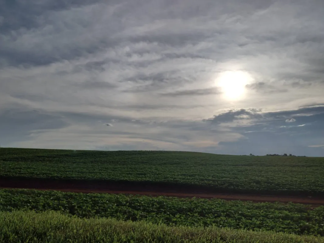 Imagem ilustrativa da imagem CIDADE FALA 21/12 - Entardecer no campo