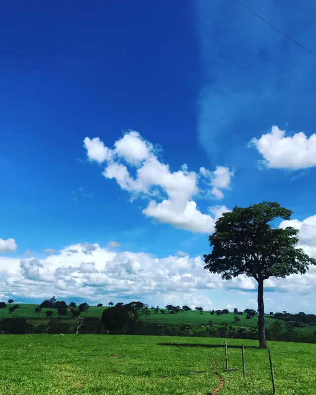 Imagem ilustrativa da imagem #CIDADE FALA: Tudo azul