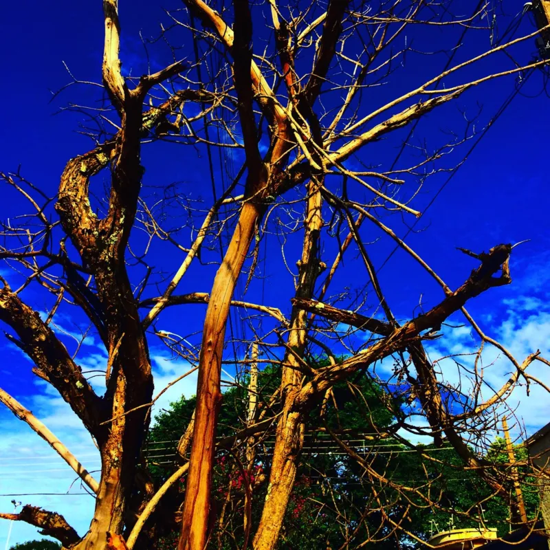 Imagem ilustrativa da imagem #CIDADE FALA