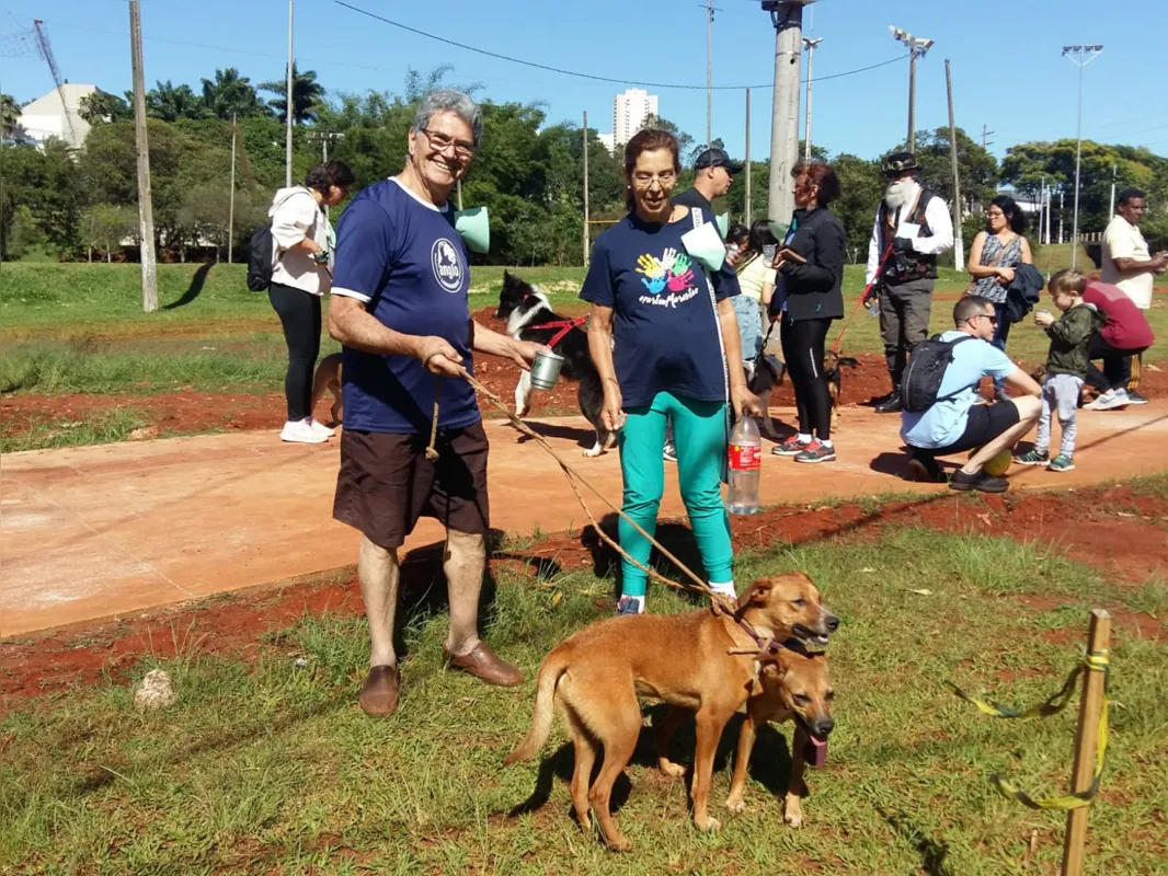 Imagem ilustrativa da imagem Cãominhada chama a atenção da sociedade para a posse responsável