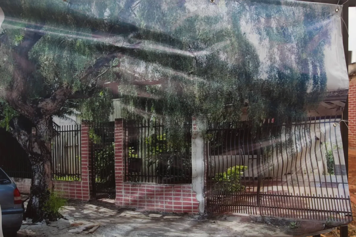É difícil imaginar que ali havia uma casa que até pouco tempo atrás abrigava uma família que criava cachorros