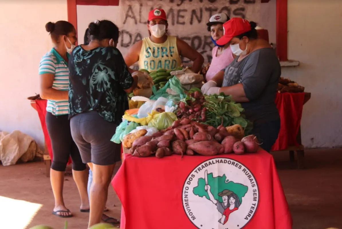 Atualmente, os assentamentos e acampamentos do MST do Paraná produzem alimentos como arroz, milho, leite, hortifrúti, cana-de-açúcar e erva-mate