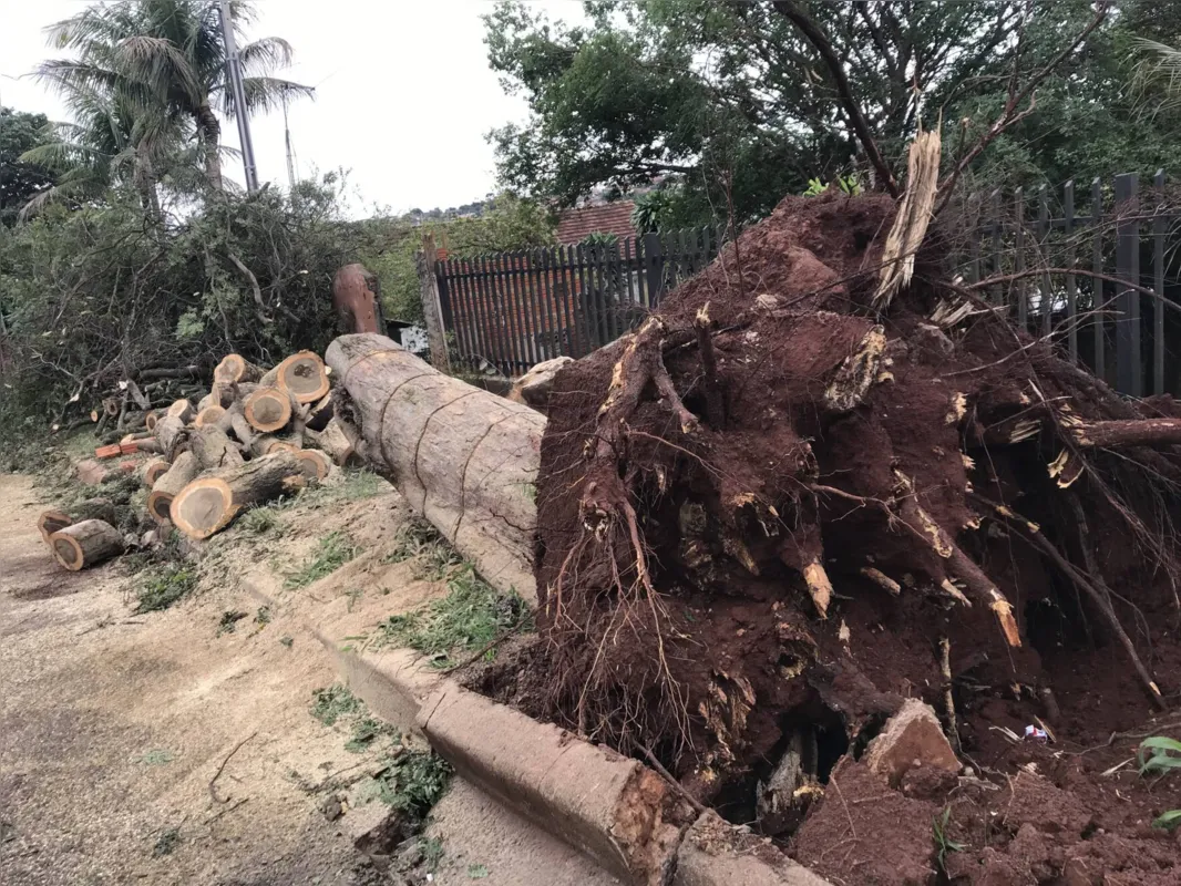 Imagem ilustrativa da imagem Chuva volta a causar estragos em Londrina