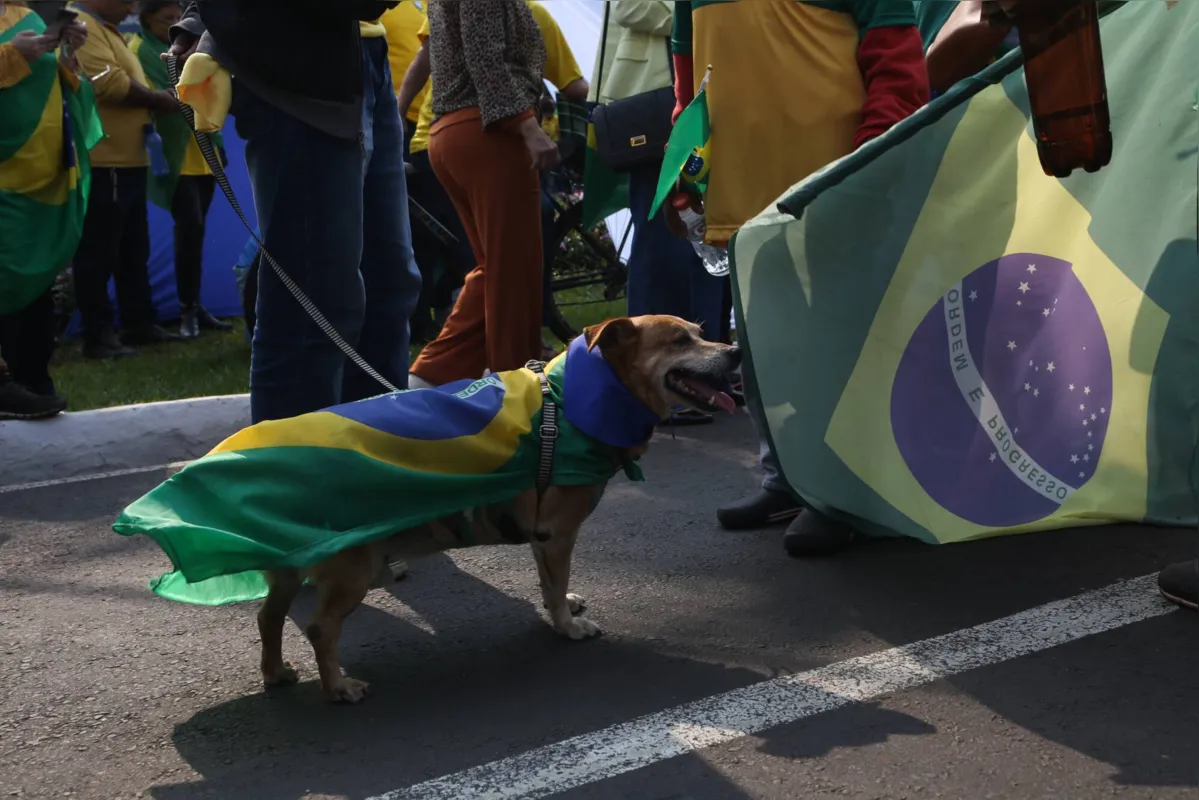 manifestacao pro bolsonaro no dia 7 de setembro na avenida higienopolis. foto: roberto custodio - folha de londrina - 09-09-22