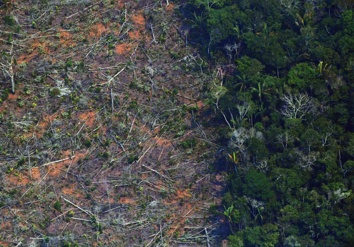 Conter o desmatamento, especialmente na Amazônia, é central para o papel do Brasil frente a crise climática