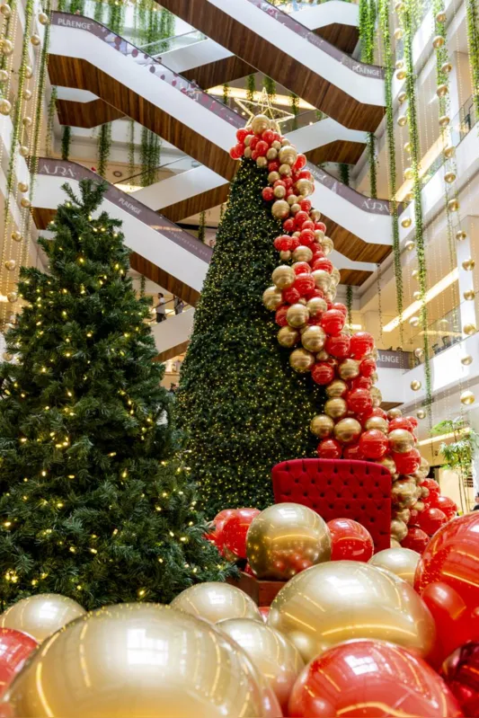 Imagem ilustrativa da imagem Edição especial do Sábado no Parque celebra o Natal