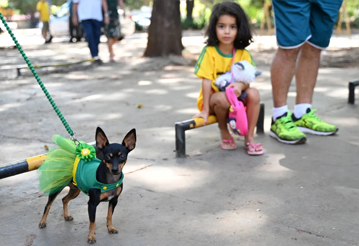 Até as crianças e os pets se viram envolvidos pelo clima eleitoral num ano marcante