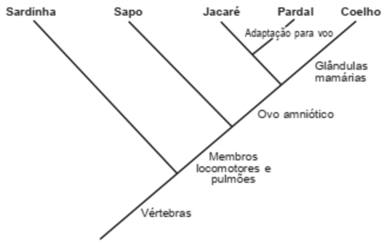 Imagem ilustrativa da imagem FolhaEnem 2022/ Caderno 14