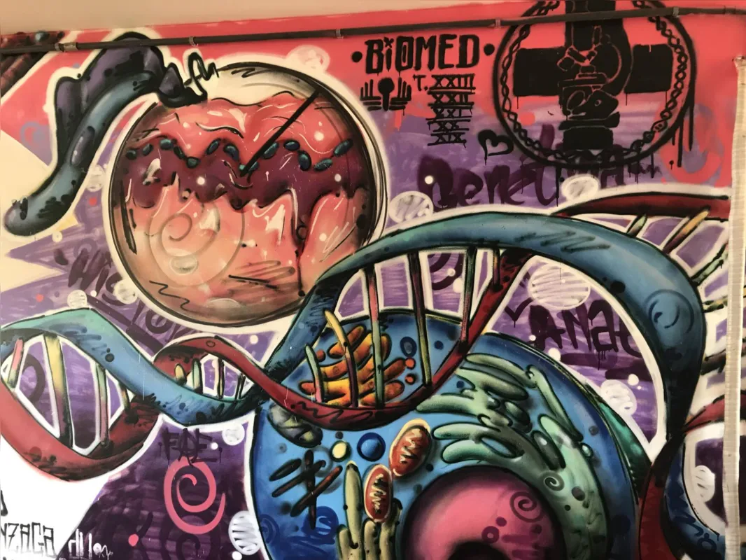 Imagem ilustrativa da imagem Grafite e histologia representados em muro no campus da UEL