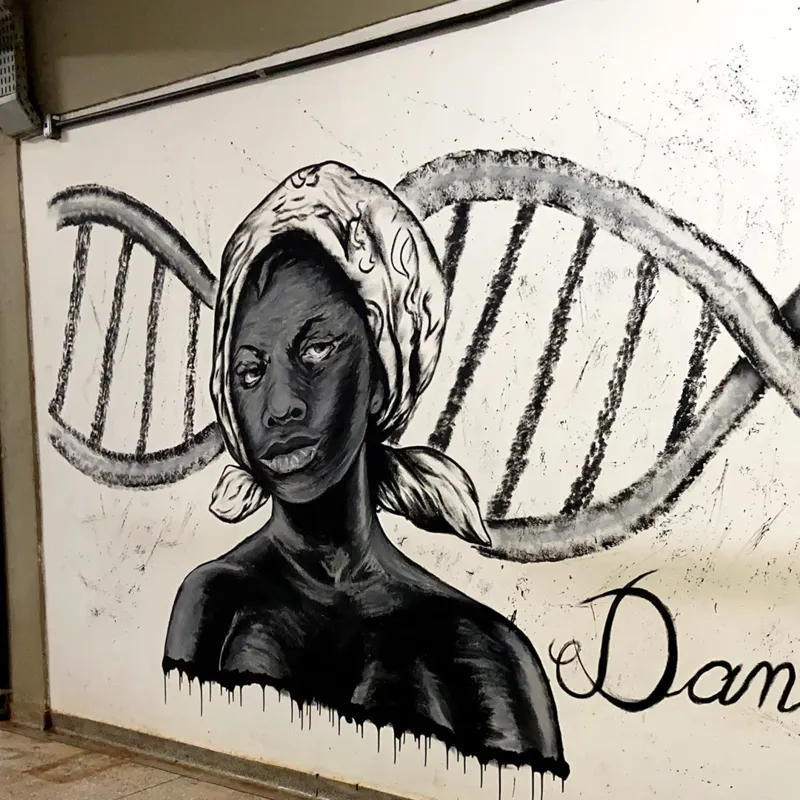 Imagem ilustrativa da imagem Grafite e histologia representados em muro no campus da UEL