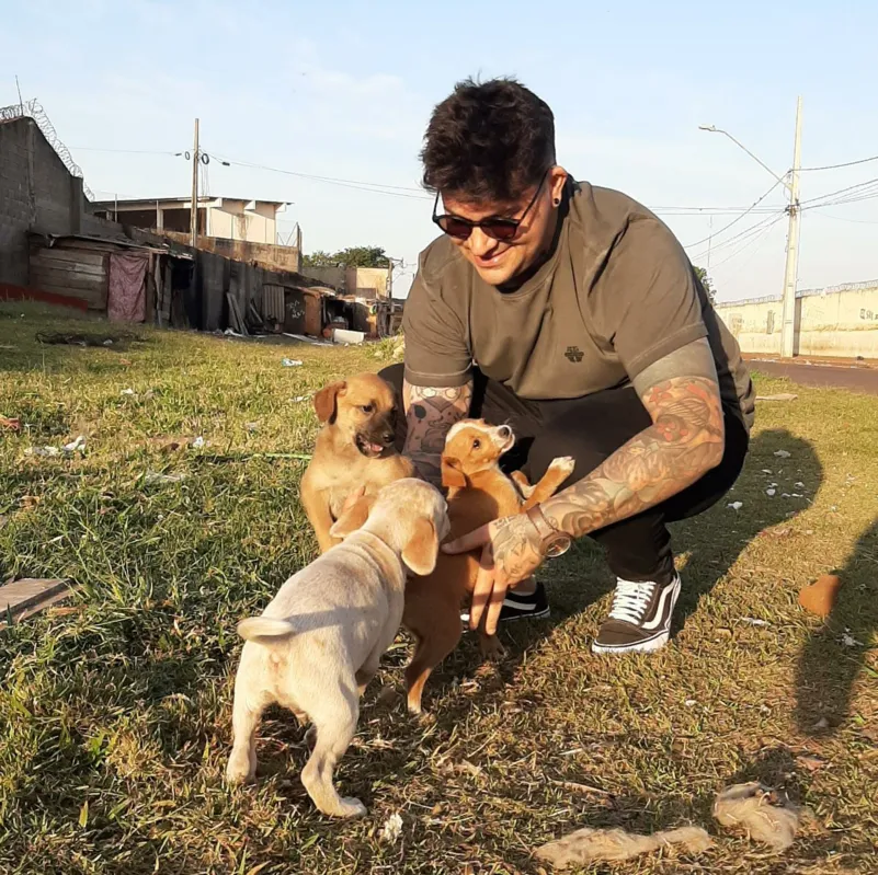 Imagem ilustrativa da imagem Inovação social e causa animal: unindo justiça e ética