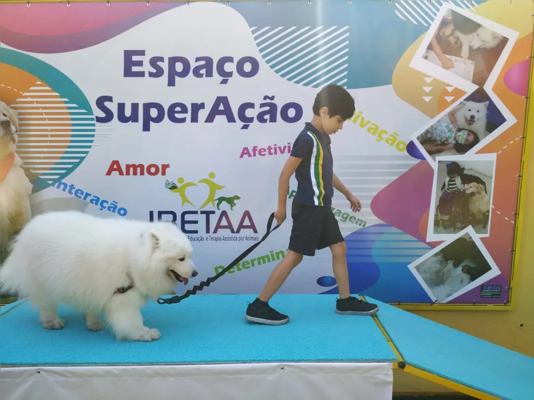 Imagem ilustrativa da imagem Instituto inaugura espaço para terapia com cães em Londrina