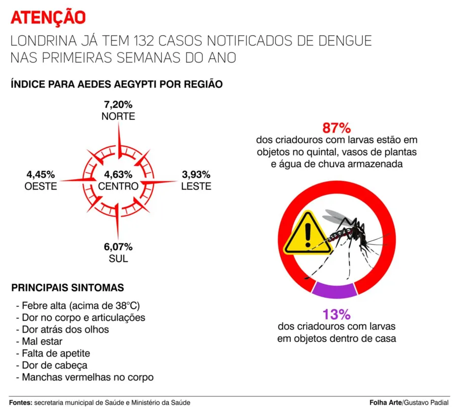 Imagem ilustrativa da imagem Londrina tem índice de risco para epidemia de dengue