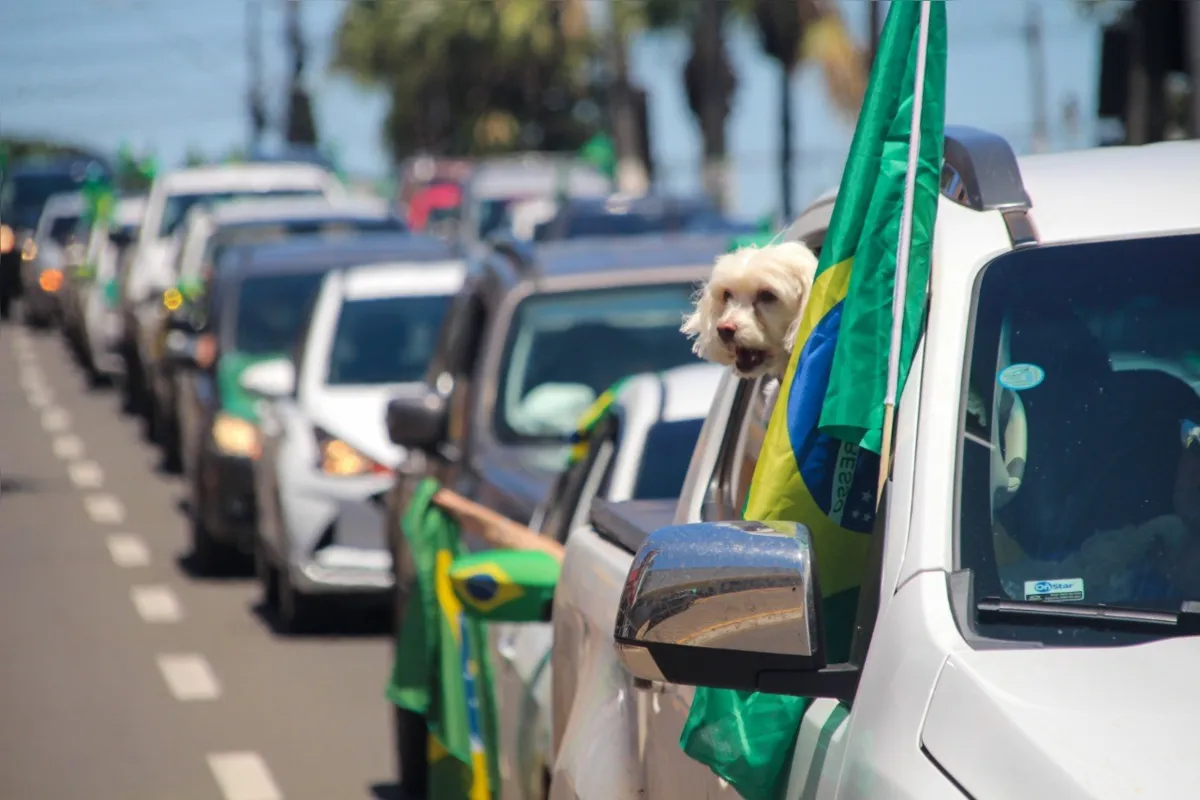 Imagem ilustrativa da imagem Manifestantes contra eleição de Lula fazem carreata em Londrina