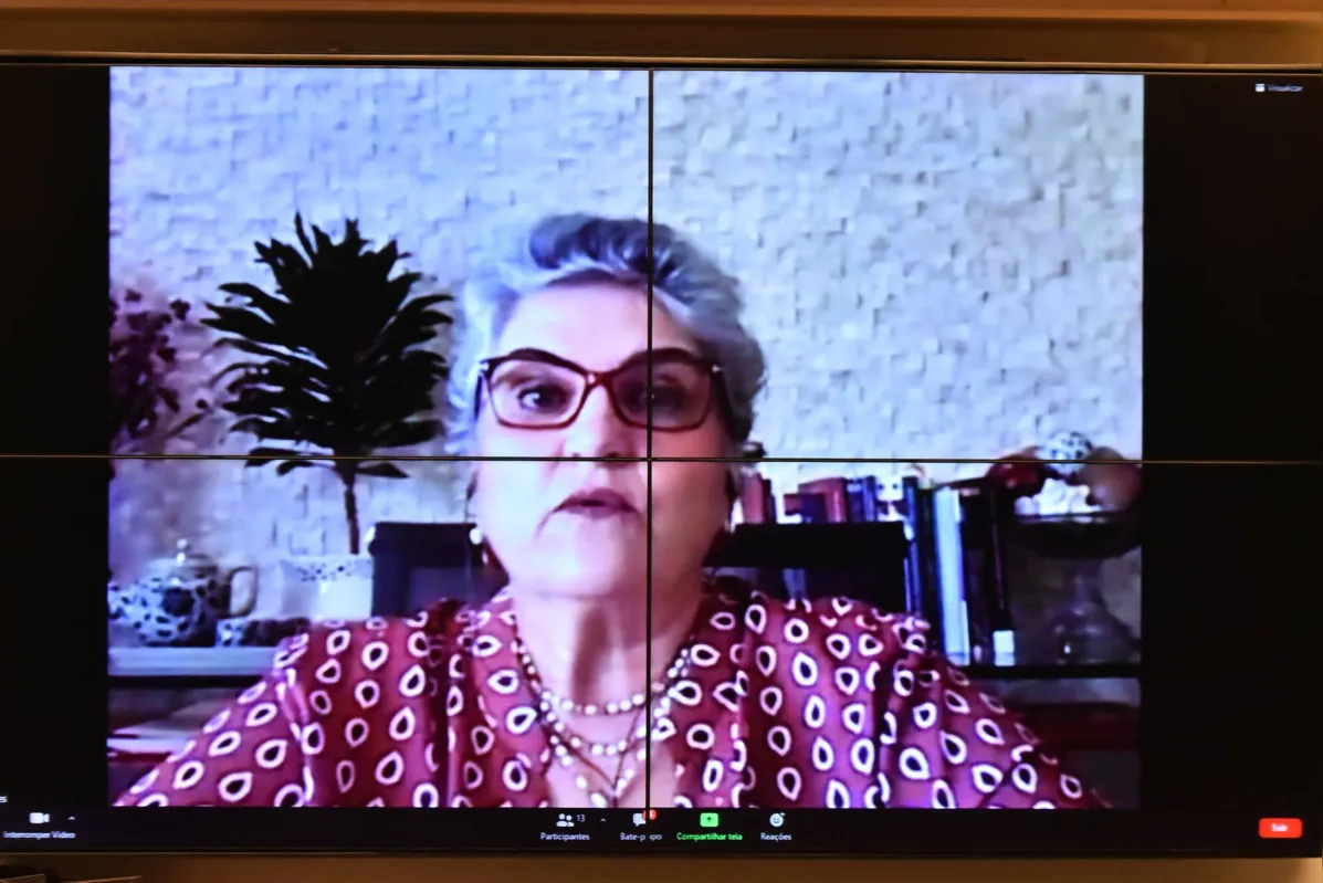 A ex-ministra de Lula durante audiência pública virtual promovida pela Câmara dos Deputados em 2021