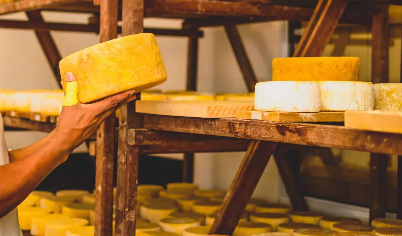 O modo de fazer queijo é passado de geração em geração, mantendo as tradições familiares