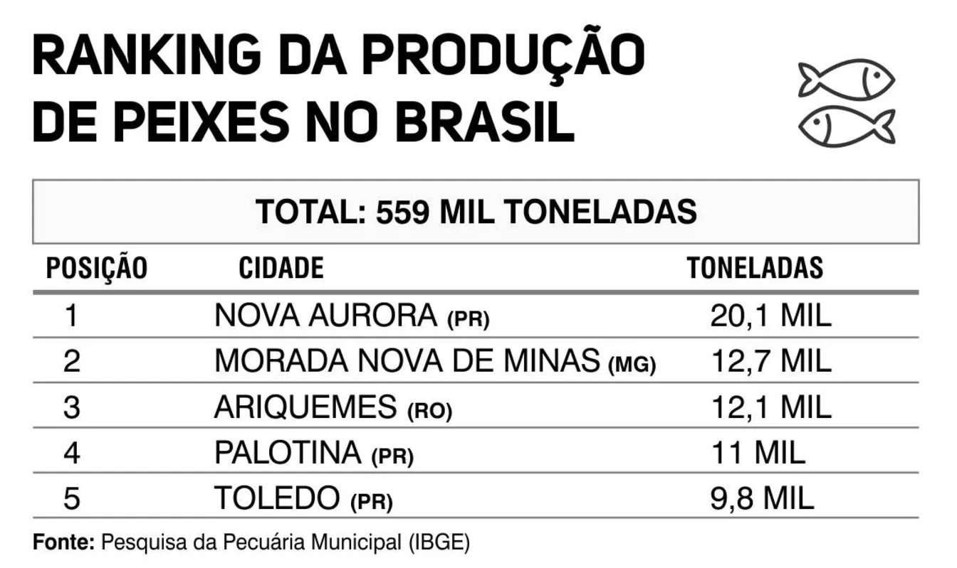 Imagem ilustrativa da imagem Nova Aurora segue líder na produção nacional de peixes
