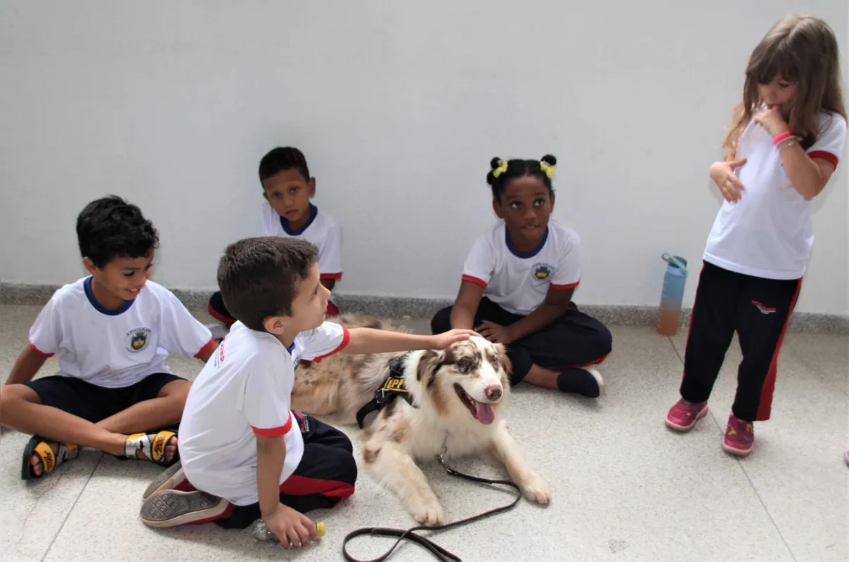 Imagem ilustrativa da imagem Os cães Deppy e Luke visitam escolas municipais de Apucarana