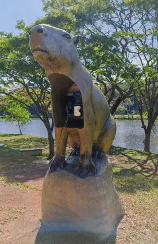 Imagem ilustrativa da imagem Parque Arthur Thomas realiza enquete para escolher nome da 'Capivara'