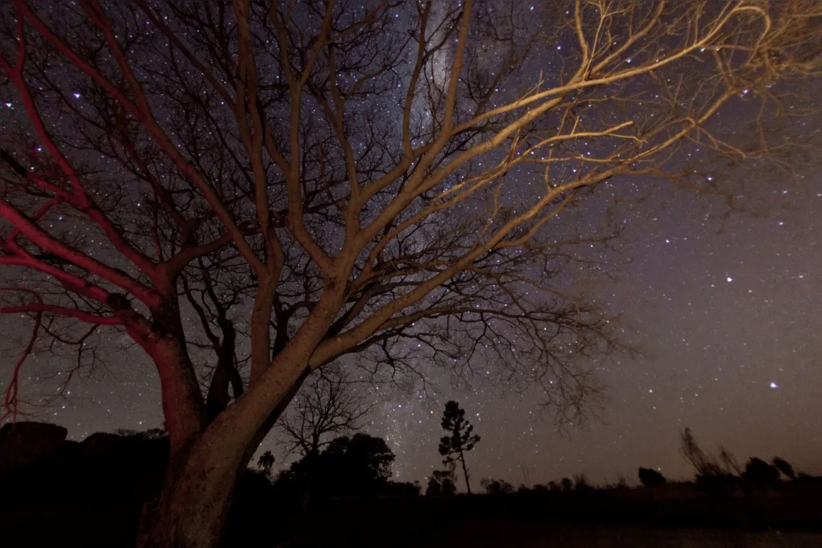 Imagem ilustrativa da imagem Parque Estadual de Vila Velha abre nova temporada da caminhada noturna