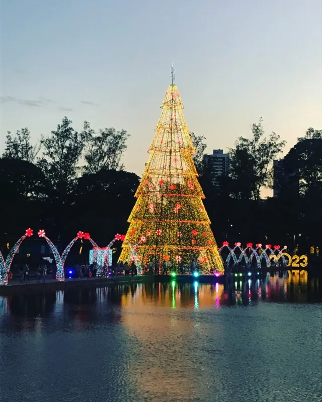 Imagem ilustrativa da imagem Perfeito Natal no lago Igapó!