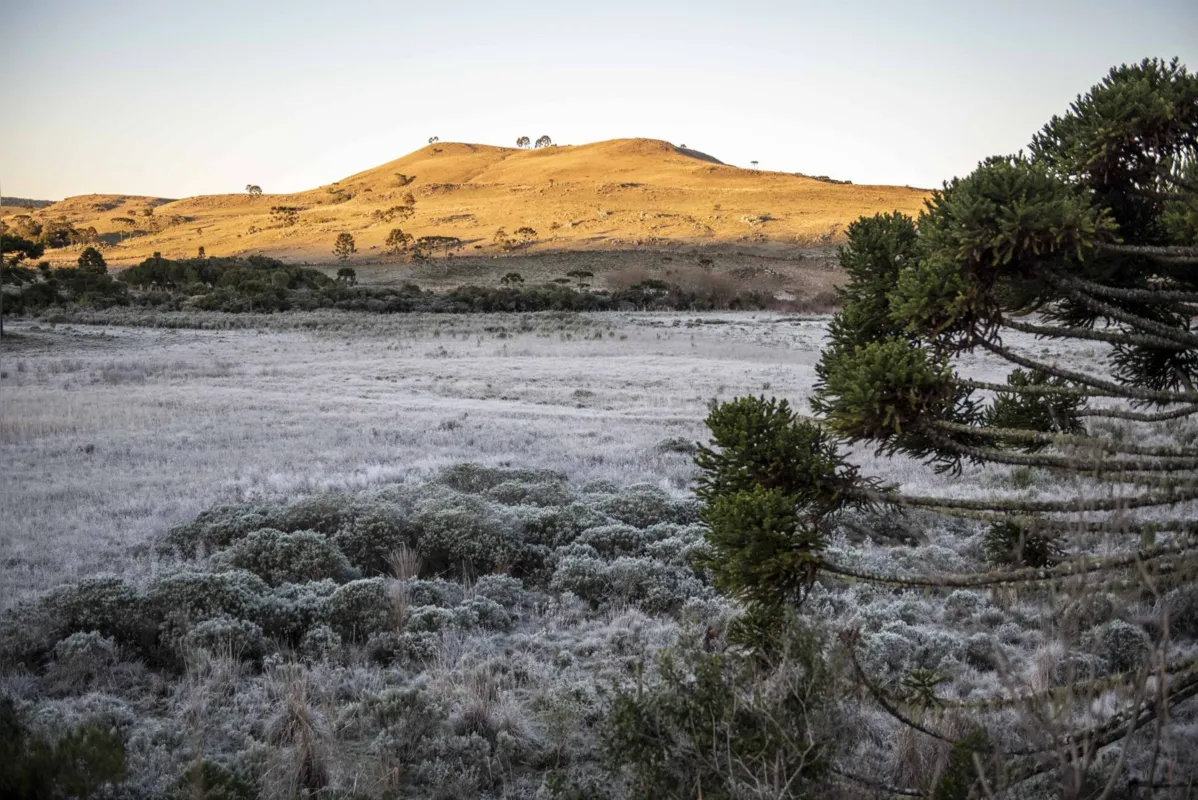 Termômetros apontaram temperatura mínima de -1,5ºC em Urupema