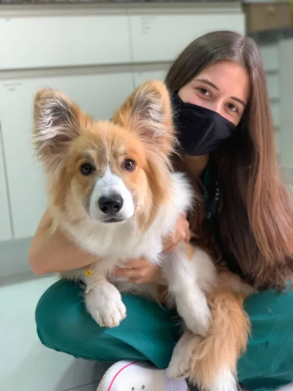 A médica-veterinária Bianca Cavazzana Ribeiro garantiu vaga no Programa de Residência de Animais de Companhia e em março inicia atividades no Hospital Veterinário da UniFil. "A graduação de Medicina Veterinária traz várias oportunidades de aprendizagem, nas aulas práticas, palestras, semanas acadêmicas, grupos de estudos e trabalhos voluntários que auxiliam muito no desenvolvimento dos alunos em meio à sociedade", afirma. Ela concluiu a faculdade no final do ano passado e sempre sonhou em passar na residência da UniFil. Já planeja uma nova pós-graduação, provavelmente em cardiologia, e depois seguir com doutorado.