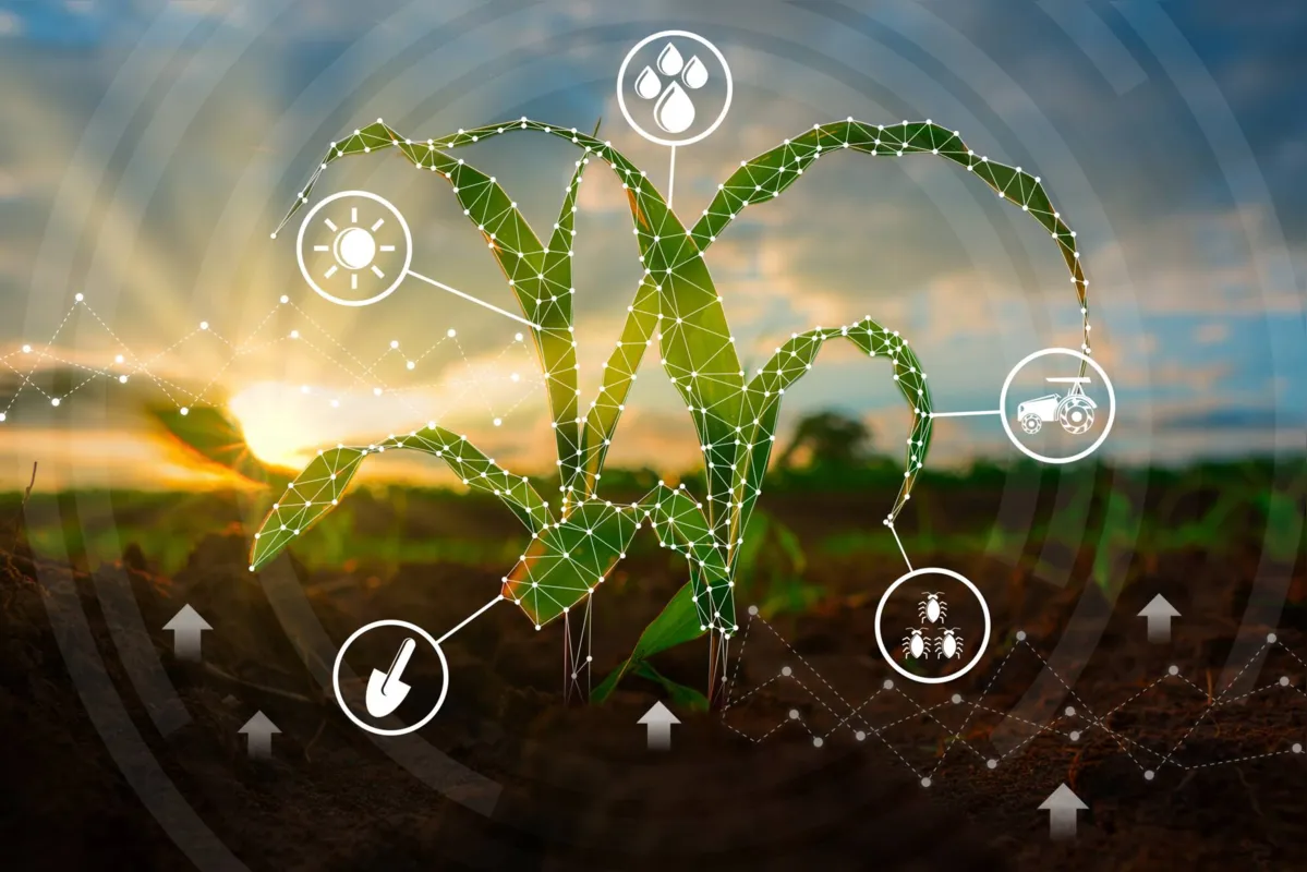 O papel da Câmara Temática de Inovação Agrodigital será subsidiar, discutir e cobrar implantação de políticas públicas que irão contribuir com a inovação no campo