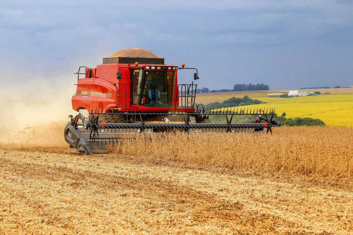 Imagem ilustrativa da imagem Soja representa mais de 40% da receita da produção agrícola do BR