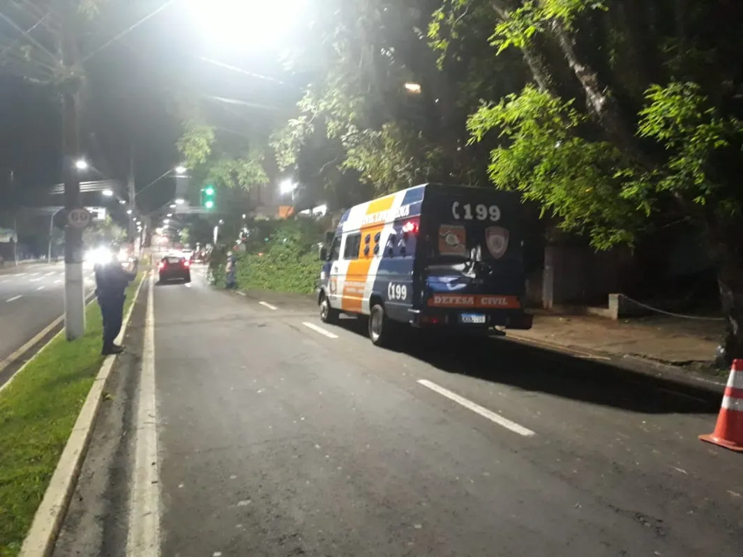 Imagem ilustrativa da imagem Temporal causa queda de 25 árvores em Londrina