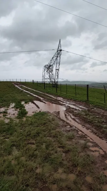 Imagem ilustrativa da imagem Temporal derruba árvores e causa destelhamentos em Londrina