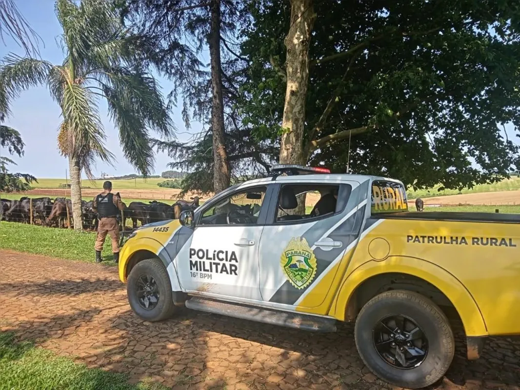 A P2 (seção de inteligência da PM), do 30º Batalhão da Polícia Militar e a Patrulha Rural foram ao local e contaram com o apoio do Bpmoa ( Batalhão de Polícia Militar de Operações Aéreas).