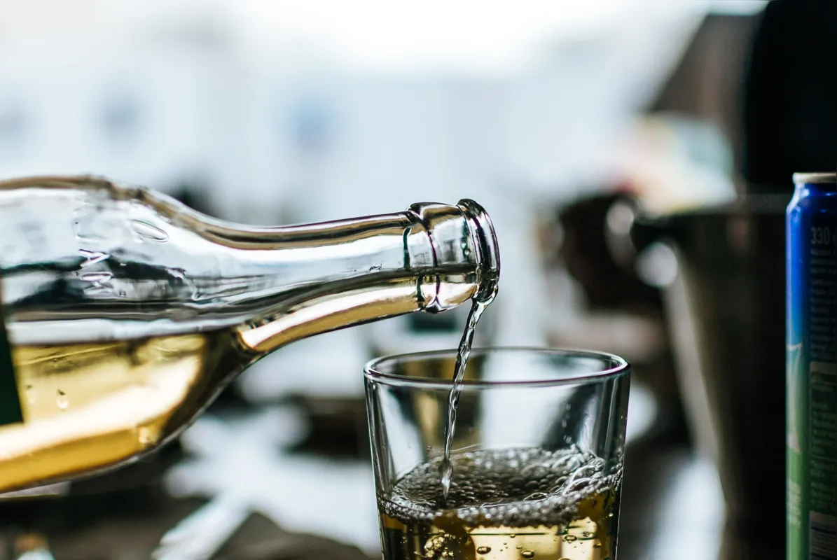 A uva Moscato Gallo se deu muito bem nos parreirais do Brasil