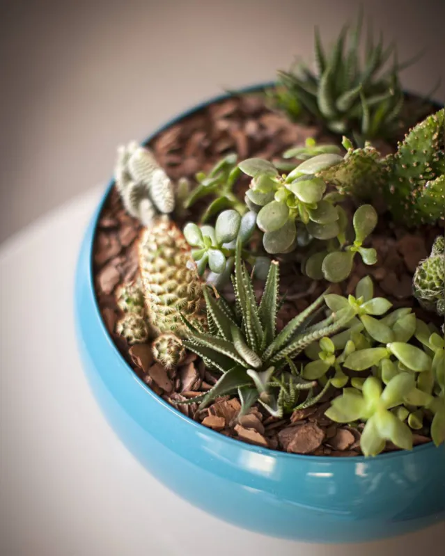 Pequenos grandes detalhes: acessórios nunca passam despercebidos no décor, pelo contrário, garantem harmonia, conectando-se com os demais elementos do ambiente para criar uma atmosfera rica