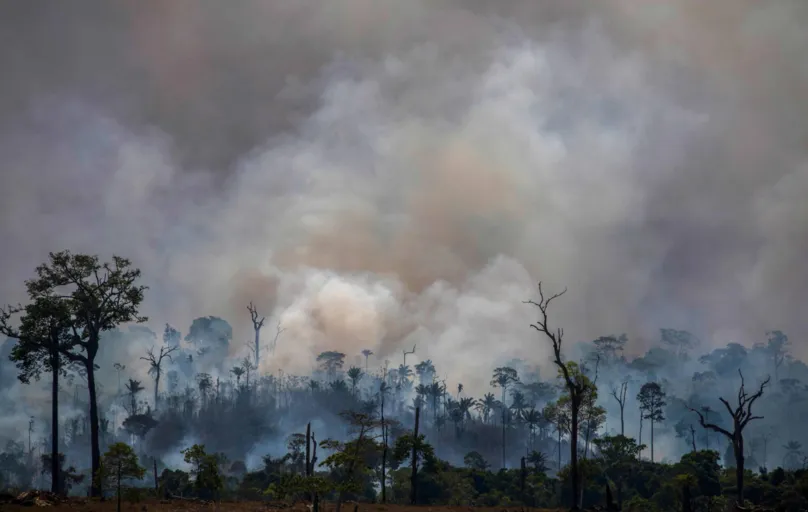 Os meses de agosto e setembro costumam ser os períodos com os níveis mais elevados de queimadas na Amazônia, pelo bioma estar em seu período seco