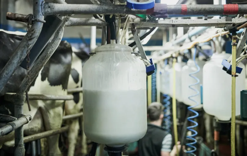 Para produtores rurais, no entanto, o preço pago pelo leite no campo não acompanhou a disparada verificada no varejo