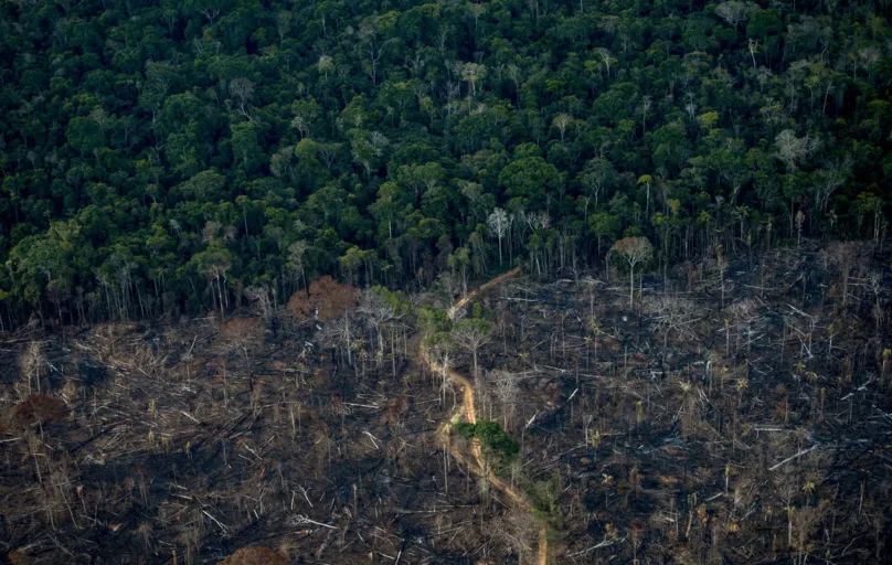 No Brasil, a maior fonte de emissões é o desmatamento, especialmente o da Amazônia