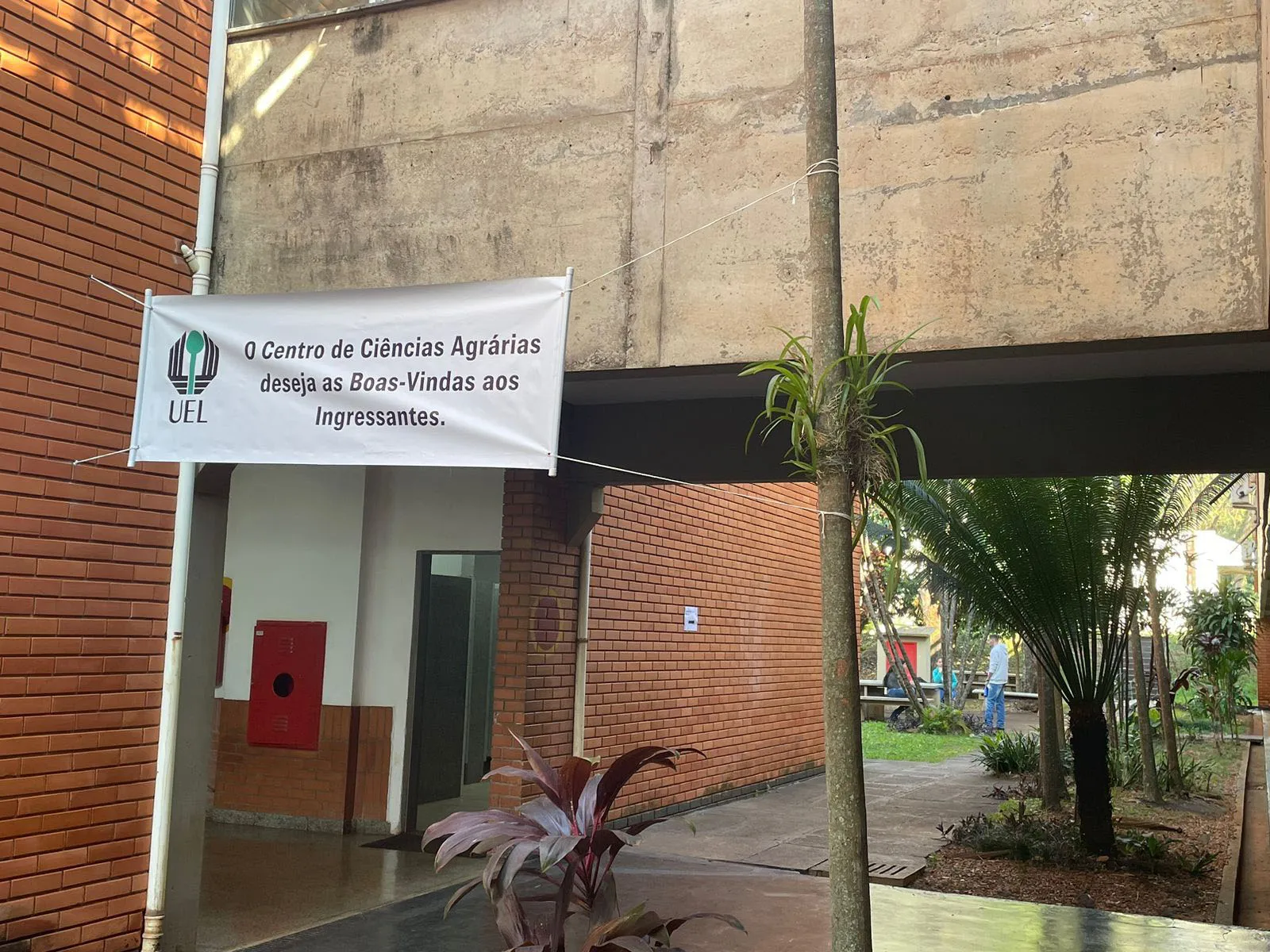 Agronomia, Medicina Veterinária e Zootecnia