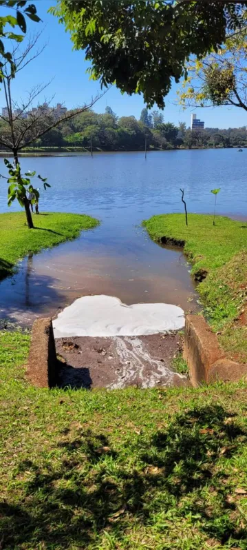 não